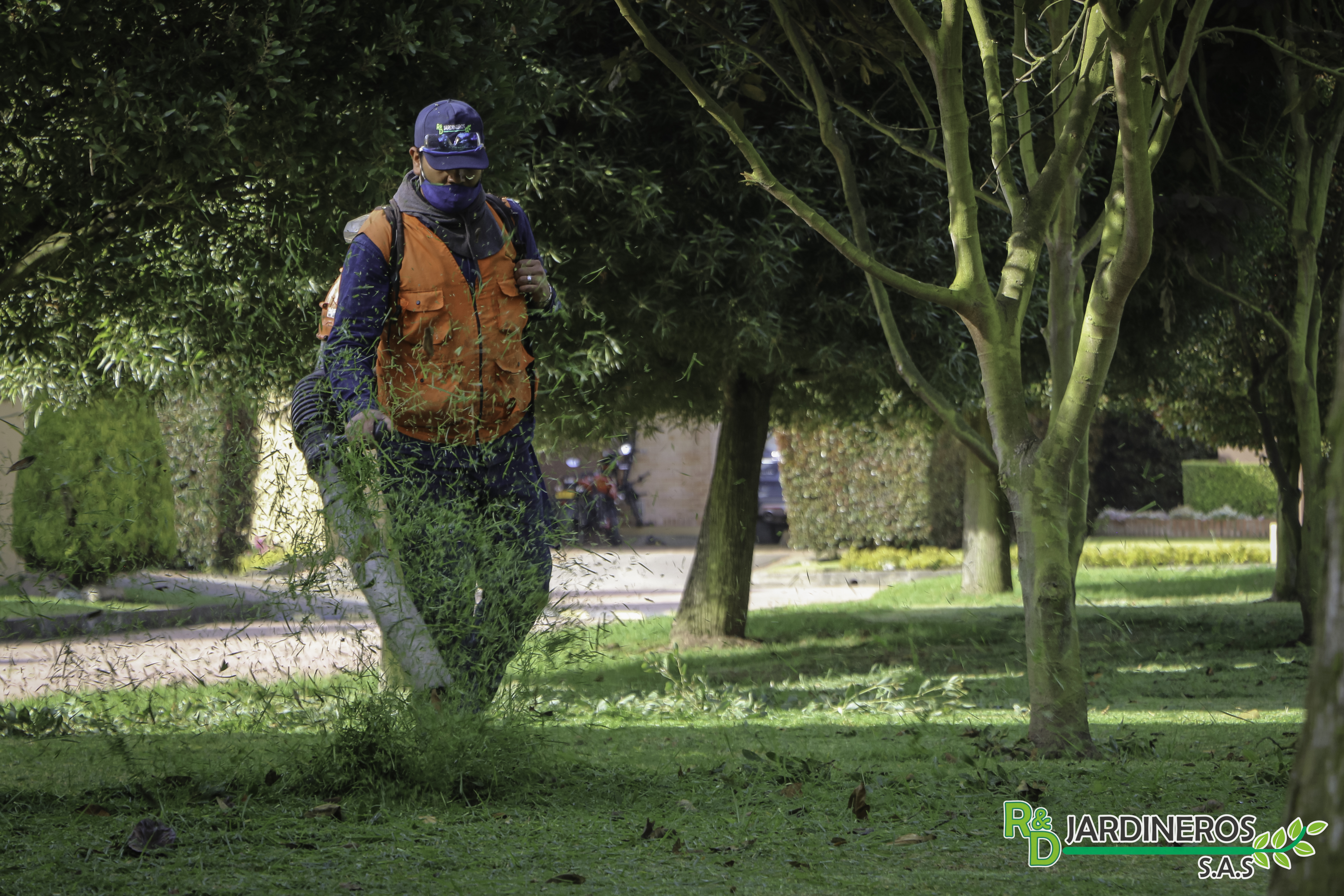 Mantenimiento de Jardines