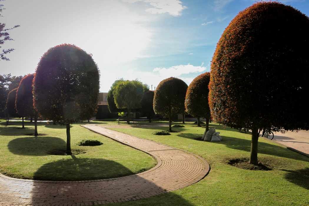 Césped, tierra y abonos disponibles en el vivero RYD