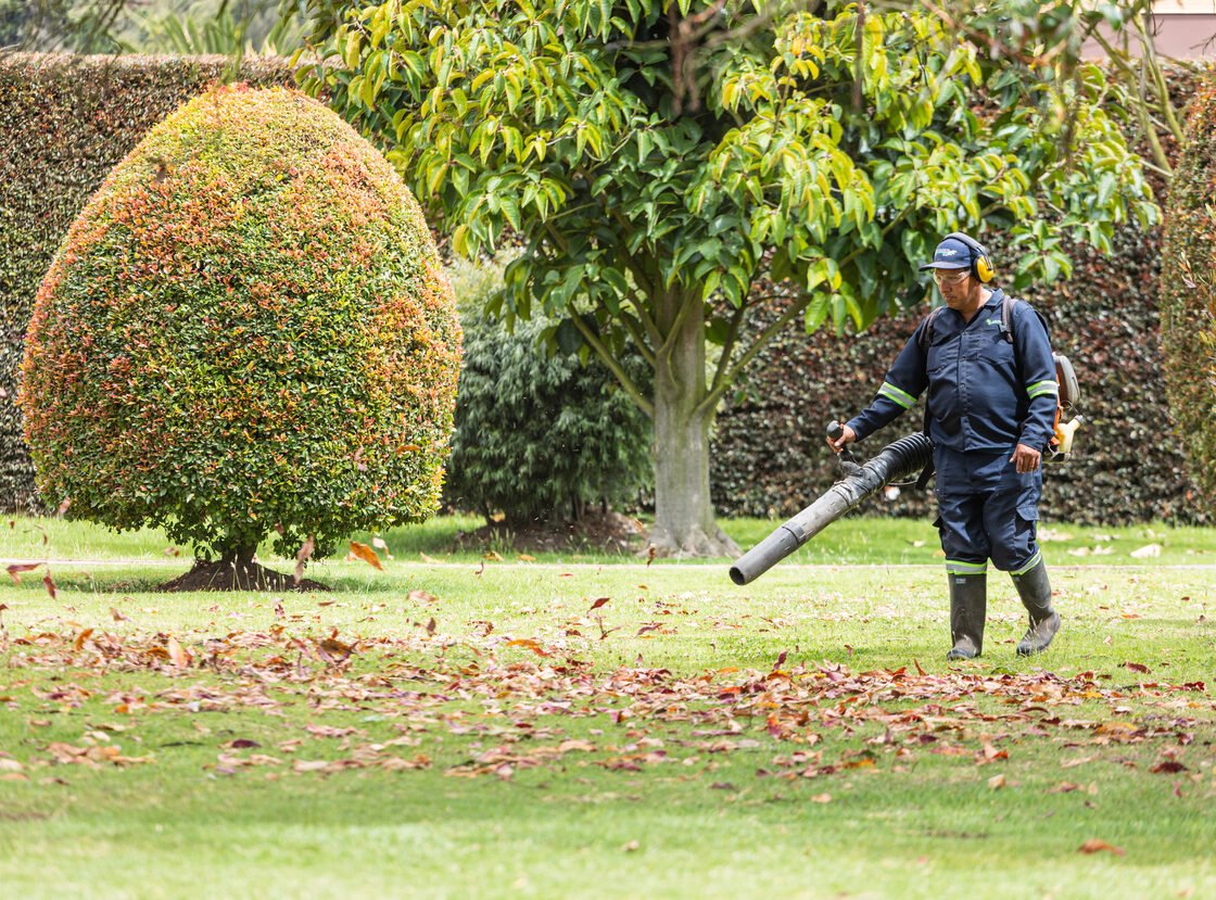 Jardinero de RYD soplando hojas secas de una zona verde con sopladora de espalda