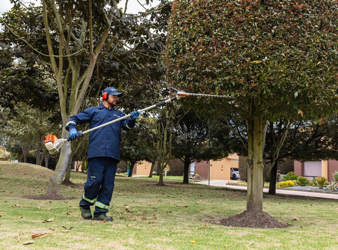 Jardinero de RYD podando en altura con pértiga telescópica, con casco y protección auditiva