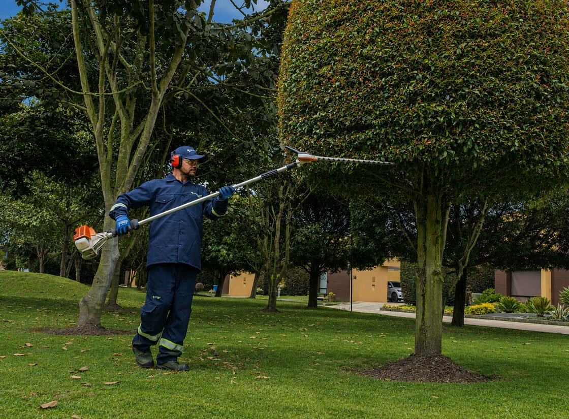 Jardinero de RYD podando en altura con pértiga telescópica, con casco y protección auditiva