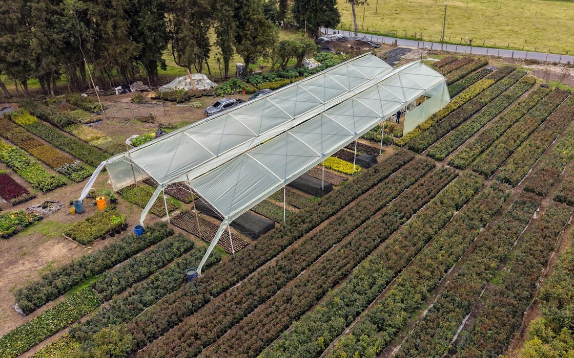 Vista aérea del invernadero del vivero RYD y las camas de cultivo al aire libre