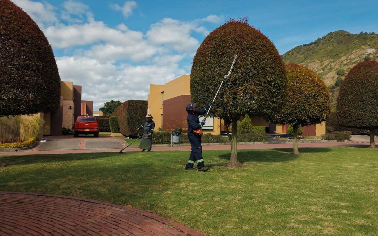 Dos jardineros de RYD podando topiarios de photinia en la zona verde de un conjunto de Chía, con los cerros de la Sabana al fondo