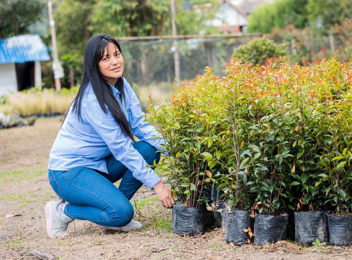 Integrante del equipo de RYD agachada junto a plantas en bolsa en el vivero