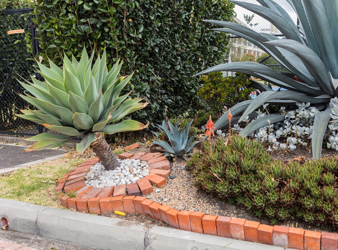 Jardinera con agaves, sedum y arbustos sobre grava, con borde curvo en ladrillo
