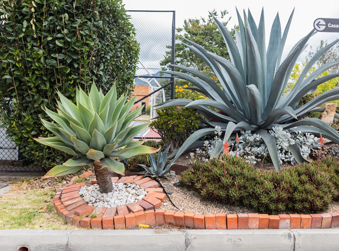 Macizo de agaves y plantas de bajo riego con borde en ladrillo, junto a una cancha