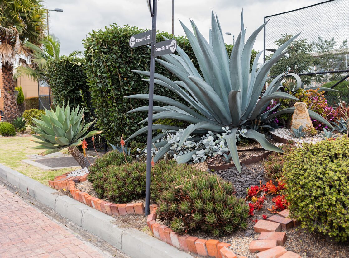 Macizo de agaves y plantas de bajo riego sobre grava, con borde en ladrillo junto a un sendero