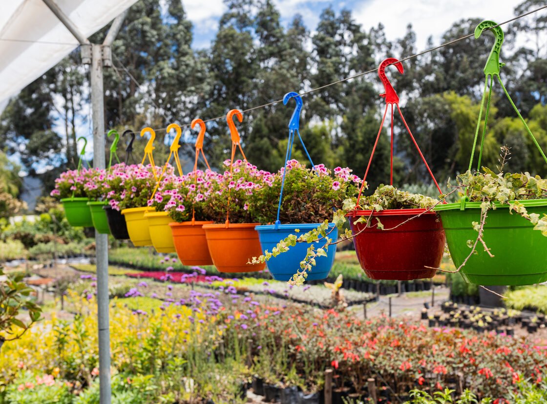 Materas colgantes de colores con flores, alineadas en el vivero RYD